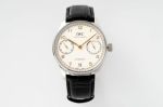 IWC Portuguese Series 2c10 Automatic Movement 42.3mm Watch